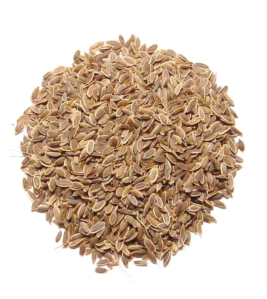 Aneto frutti interi 100gr