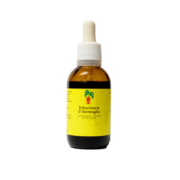 Salvia tintura madre - Erboristeria il Germoglio