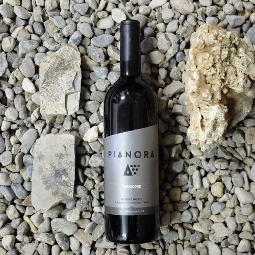 Tersicore vino biologico IGT Sebino Rosso 2021 - Pianora - Image 2